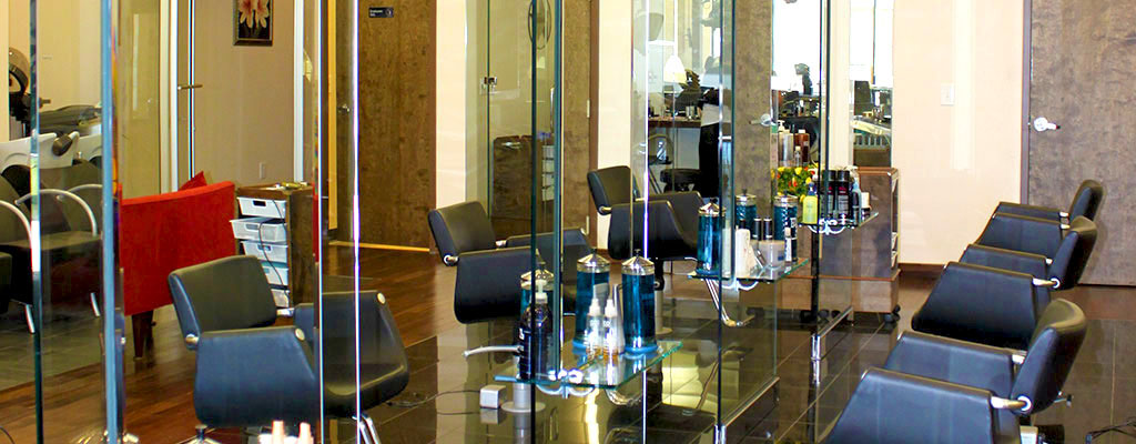 Emily J Aveda - Duluth:  Glass Wall Styling Stations